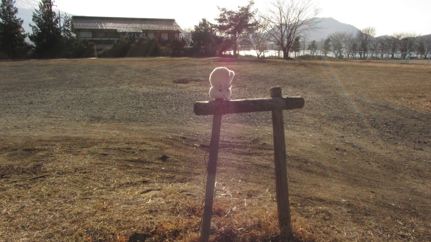 Bunny Mitten on Fence